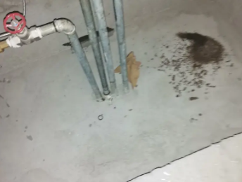 江宁卫生间测漏水价格明细